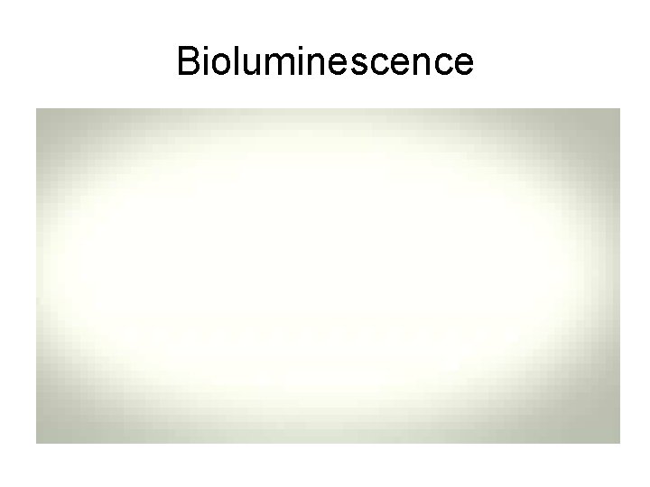 Bioluminescence 