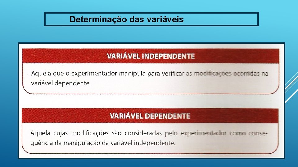 Determinação das variáveis 