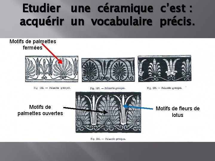 Etudier une céramique c’est : acquérir un vocabulaire précis. Motifs de palmettes fermées Motifs