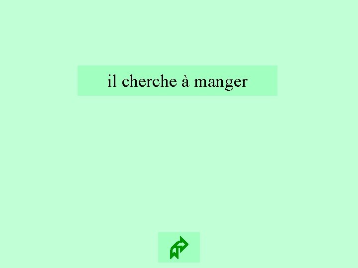 9 il cherche à manger 