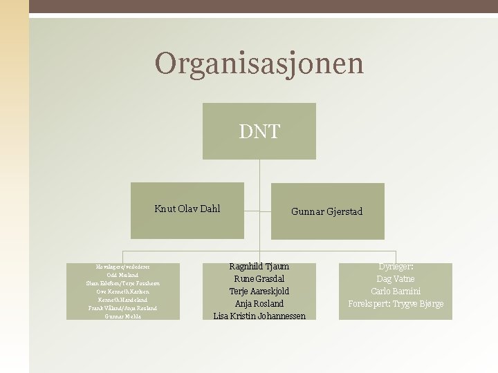 Organisasjonen DNT Knut Olav Dahl Gunnar Gjerstad Hovslagere/veiledere: Ragnhild Tjaum Dyrleger: Odd Mæland Rune