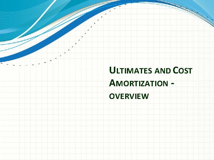 ULTIMATES AND COST AMORTIZATION OVERVIEW 