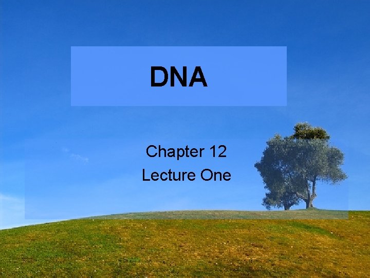 DNA Chapter 12 Lecture One 