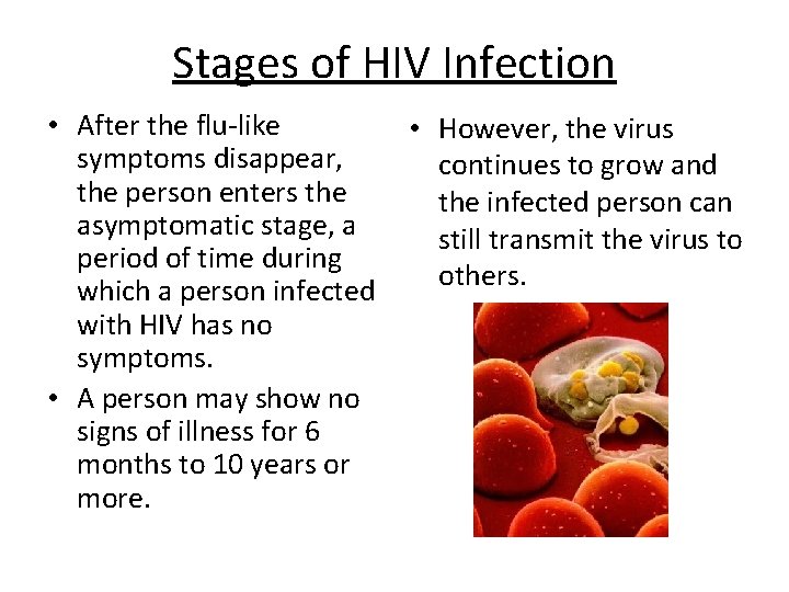 Stages of HIV Infection • After the flu-like symptoms disappear, the person enters the