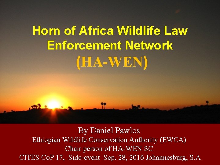 Horn of Africa Wildlife Law Enforcement Network (HA-WEN) By Daniel Pawlos Ethiopian Wildlife Conservation