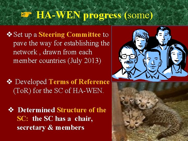 ☞ HA-WEN progress (some) v Set up a Steering Committee to pave the way