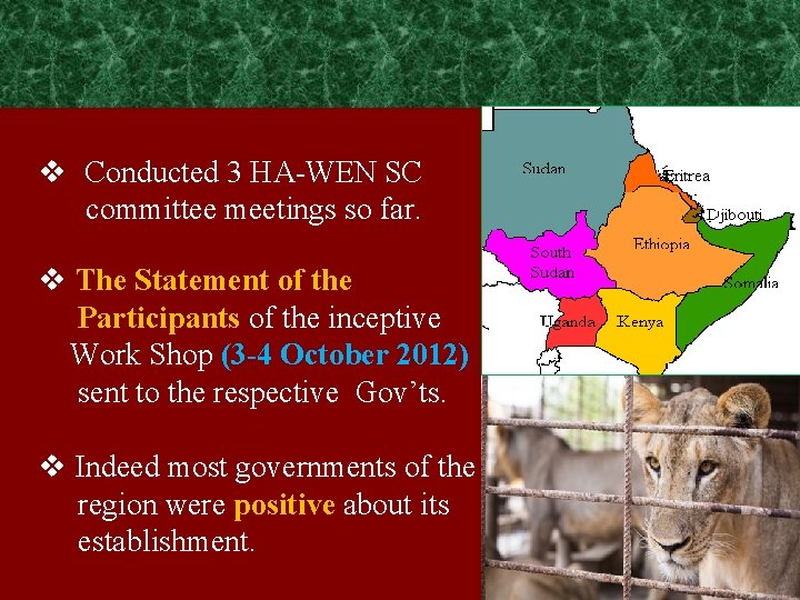 v Conducted 3 HA-WEN SC committee meetings so far. v The Statement of the