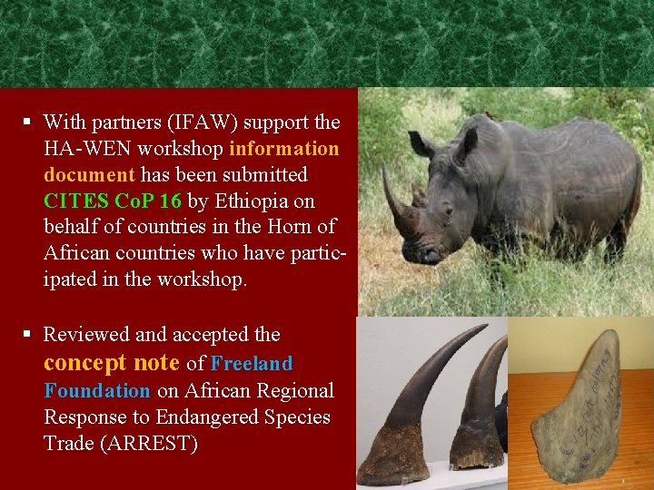 § With partners (IFAW) support the HA-WEN workshop information document has been submitted CITES