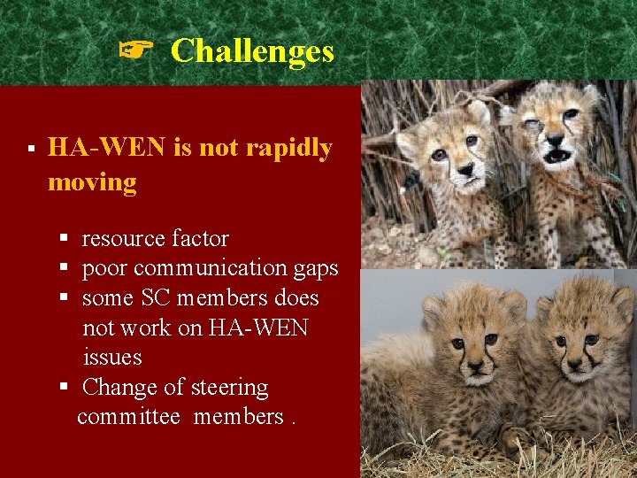 ☞ Challenges § HA-WEN is not rapidly moving § resource factor § poor communication