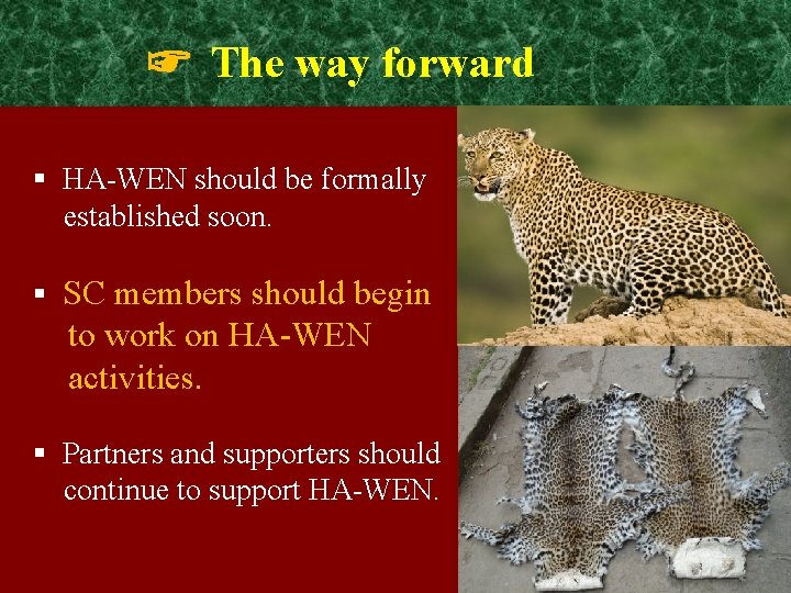 ☞ The way forward § HA-WEN should be formally established soon. § SC members