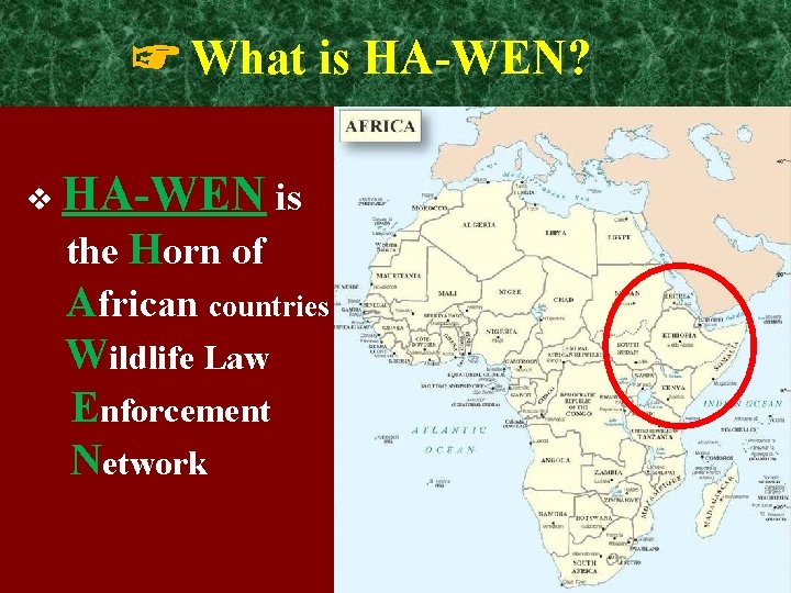 ☞ What is HA-WEN? v HA-WEN is the Horn of African countries Wildlife Law