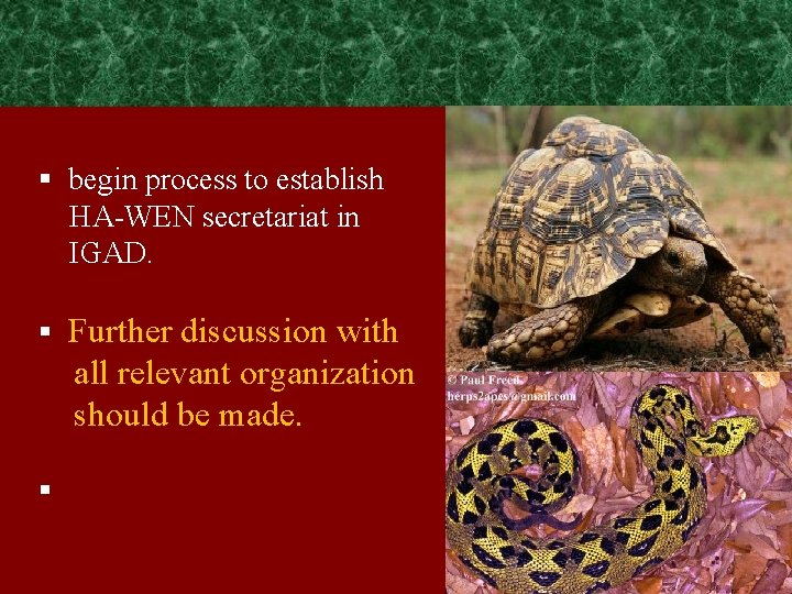 § begin process to establish HA-WEN secretariat in IGAD. § Further discussion with all