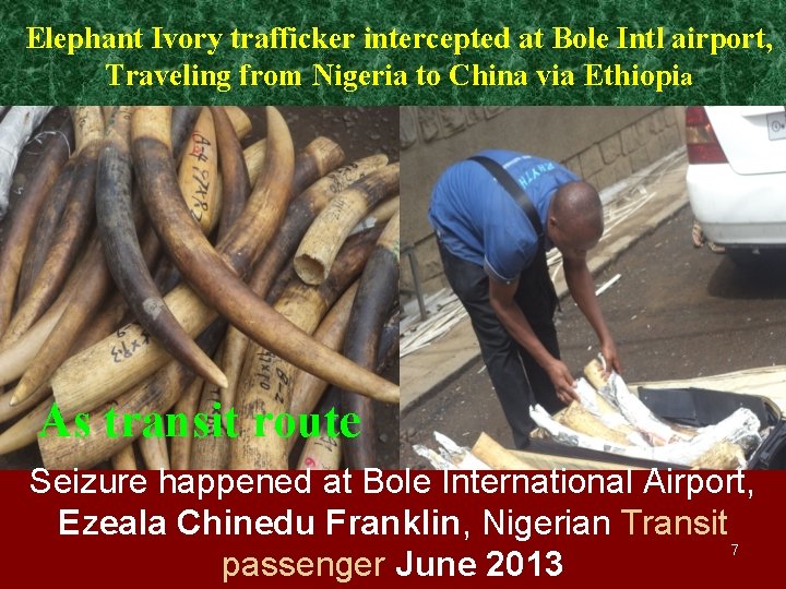 Elephant Ivory trafficker intercepted at Bole Intl airport, Traveling from Nigeria to China via