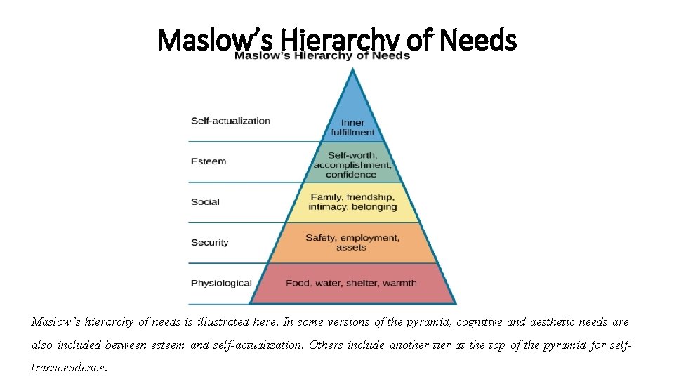 Maslow’s Hierarchy of Needs Maslow’s hierarchy of needs is illustrated here. In some versions