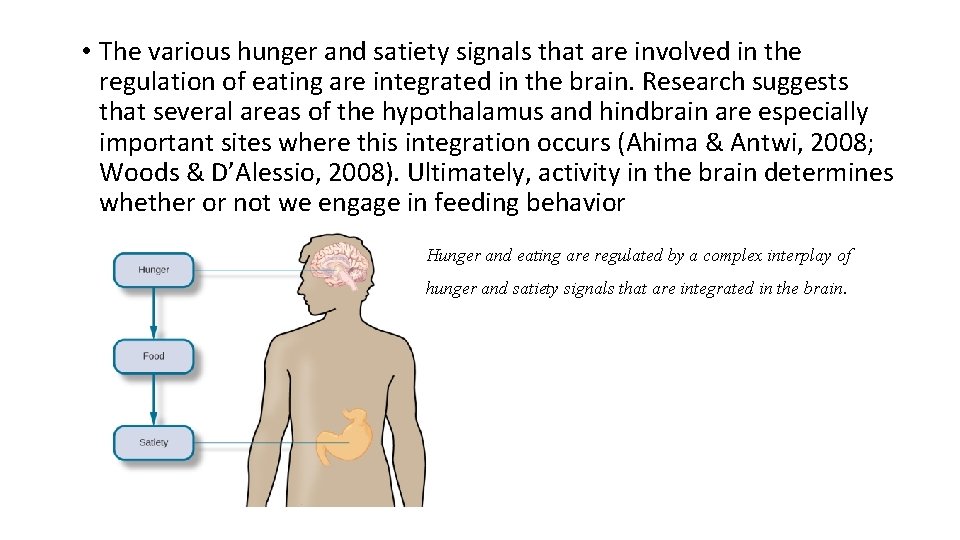  • The various hunger and satiety signals that are involved in the regulation