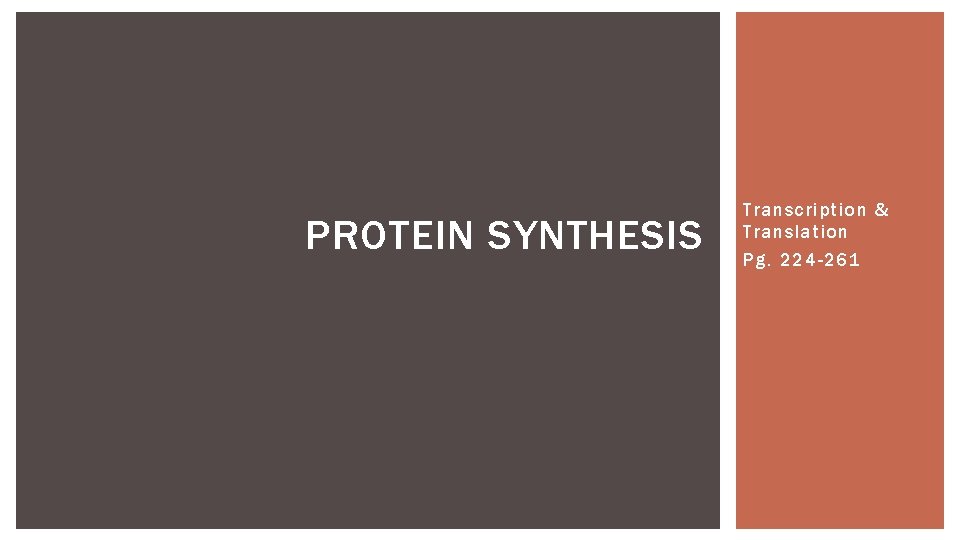 PROTEIN SYNTHESIS Transcription & Translation Pg. 224 -261 