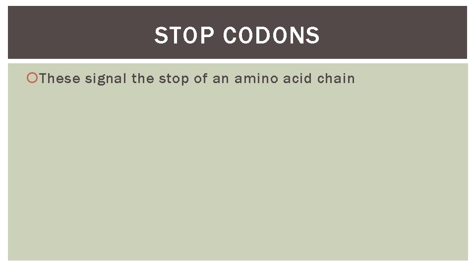 STOP CODONS These signal the stop of an amino acid chain 