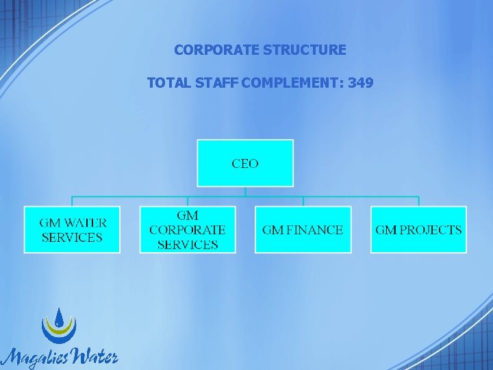 CORPORATE STRUCTURE TOTAL STAFF COMPLEMENT: 349 