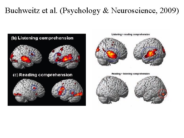 Buchweitz et al. (Psychology & Neuroscience, 2009) 