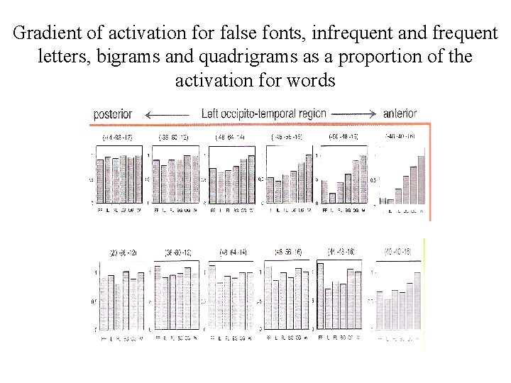 Gradient of activation for false fonts, infrequent and frequent letters, bigrams and quadrigrams as
