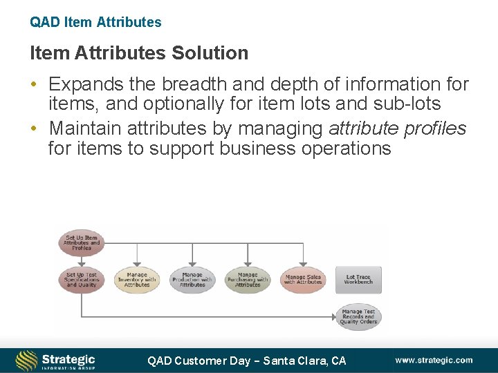 QAD Item Attributes Solution • Expands the breadth and depth of information for items,