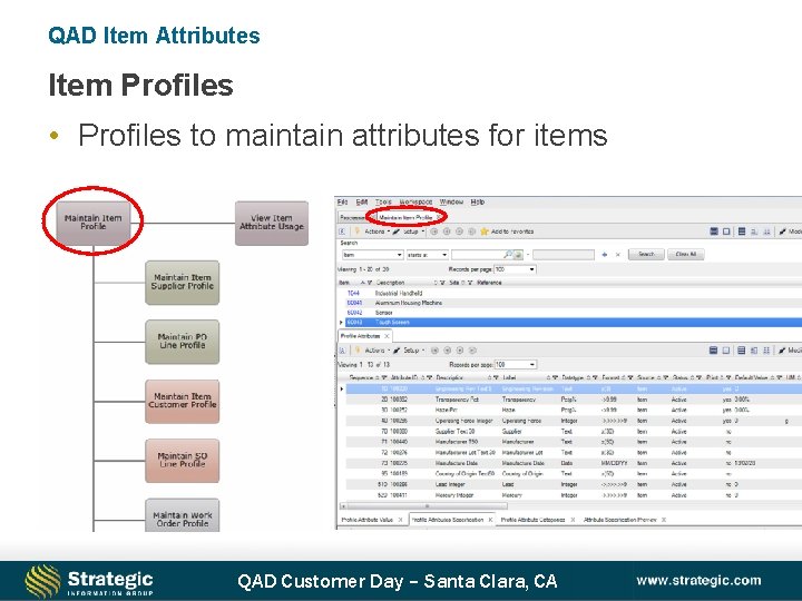 QAD Item Attributes Item Profiles • Profiles to maintain attributes for items QAD Customer