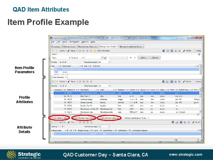 QAD Item Attributes Item Profile Example Item Profile Parameters Profile Attributes Attribute Details QAD