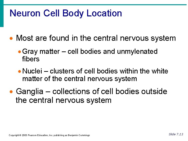 Neuron Cell Body Location Most are found in the central nervous system Gray matter