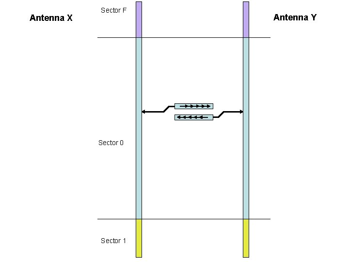 Antenna X Sector F Sector 0 Sector 1 Antenna Y 