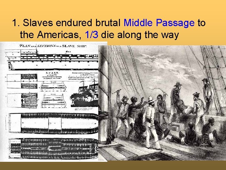 1. Slaves endured brutal Middle Passage to the Americas, 1/3 die along the way