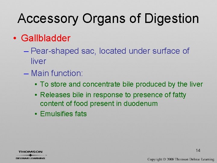 Accessory Organs of Digestion • Gallbladder – Pear-shaped sac, located under surface of liver