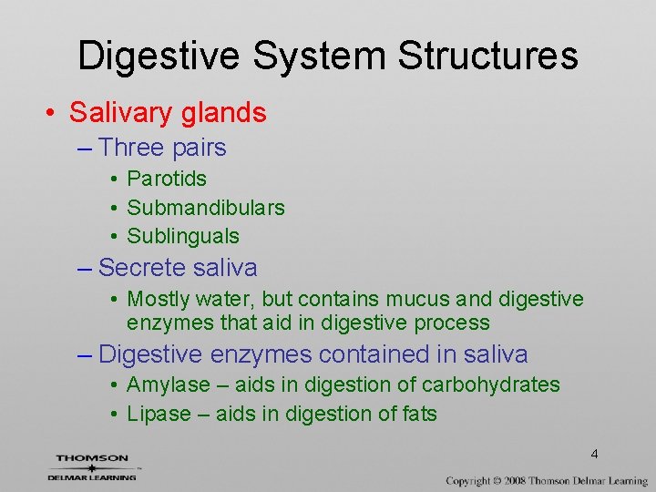 Digestive System Structures • Salivary glands – Three pairs • Parotids • Submandibulars •