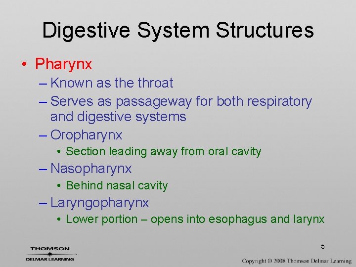 Digestive System Structures • Pharynx – Known as the throat – Serves as passageway
