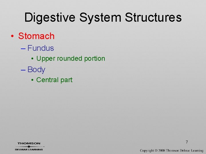 Digestive System Structures • Stomach – Fundus • Upper rounded portion – Body •