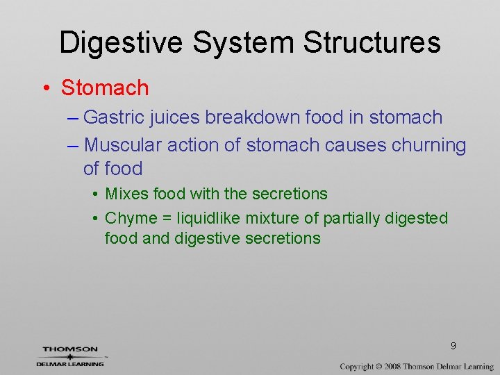 Digestive System Structures • Stomach – Gastric juices breakdown food in stomach – Muscular