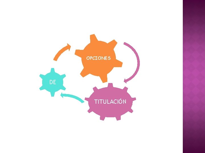 OPCIONES DE TITULACIÓN 