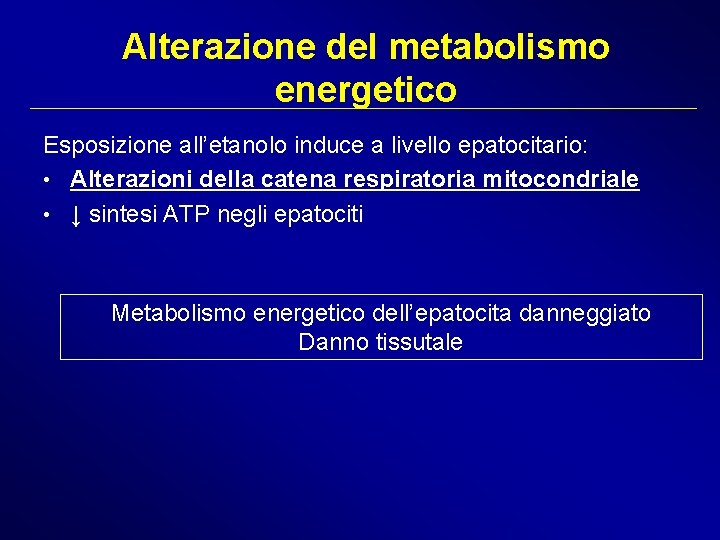 Alterazione del metabolismo energetico Esposizione all’etanolo induce a livello epatocitario: • Alterazioni della catena