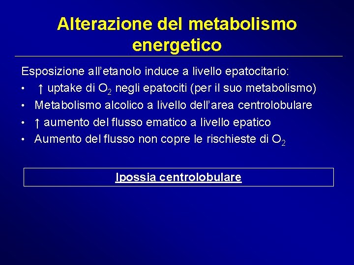 Alterazione del metabolismo energetico Esposizione all’etanolo induce a livello epatocitario: • ↑ uptake di