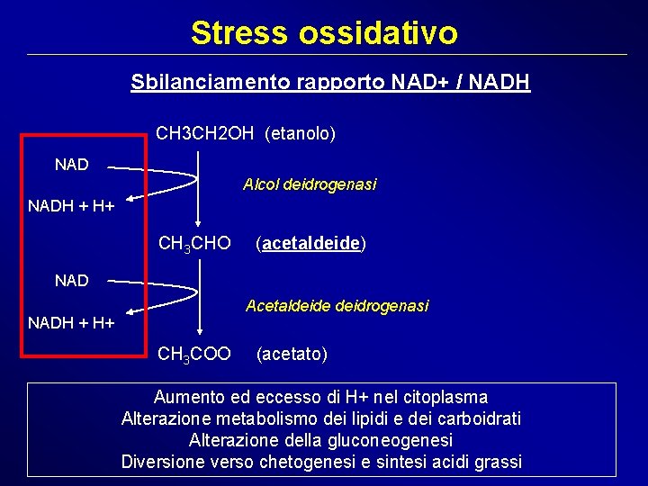 Stress ossidativo Sbilanciamento rapporto NAD+ / NADH CH 3 CH 2 OH (etanolo) NAD