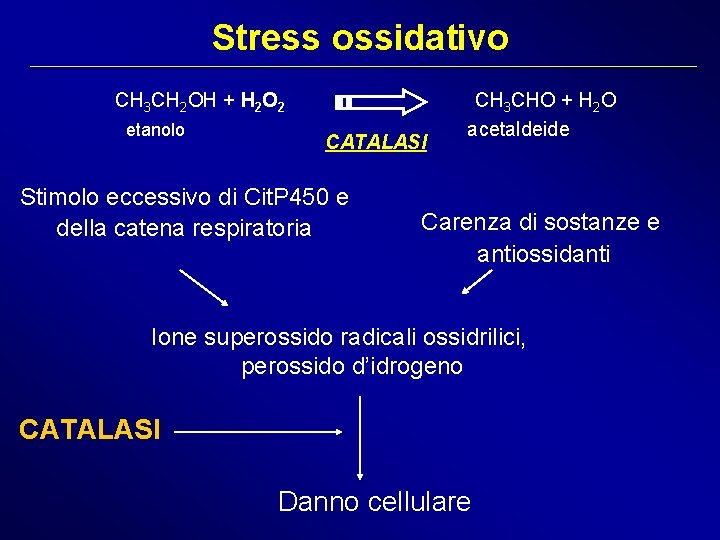 Stress ossidativo CH 3 CH 2 OH + H 2 O 2 etanolo CATALASI