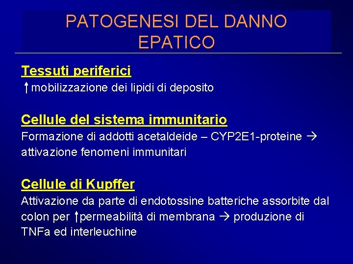 PATOGENESI DEL DANNO EPATICO Tessuti periferici mobilizzazione dei lipidi di deposito Cellule del sistema