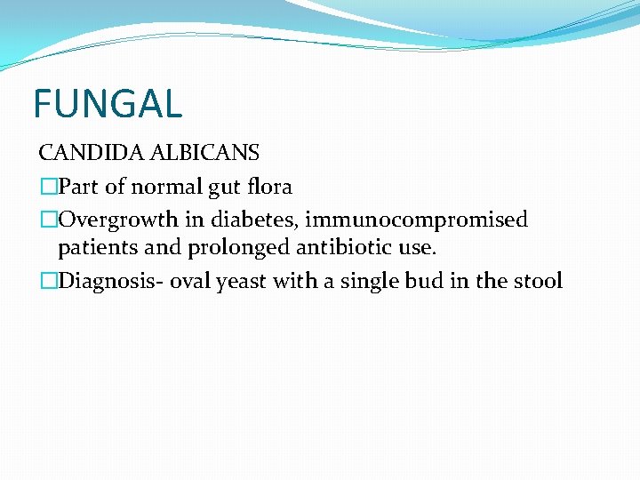 FUNGAL CANDIDA ALBICANS �Part of normal gut flora �Overgrowth in diabetes, immunocompromised patients and