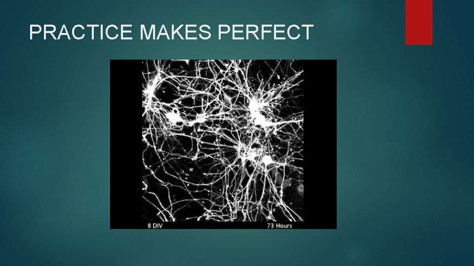 PRACTICE MAKES PERFECT 