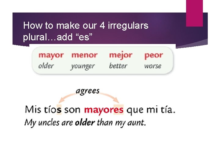 How to make our 4 irregulars plural…add “es” 