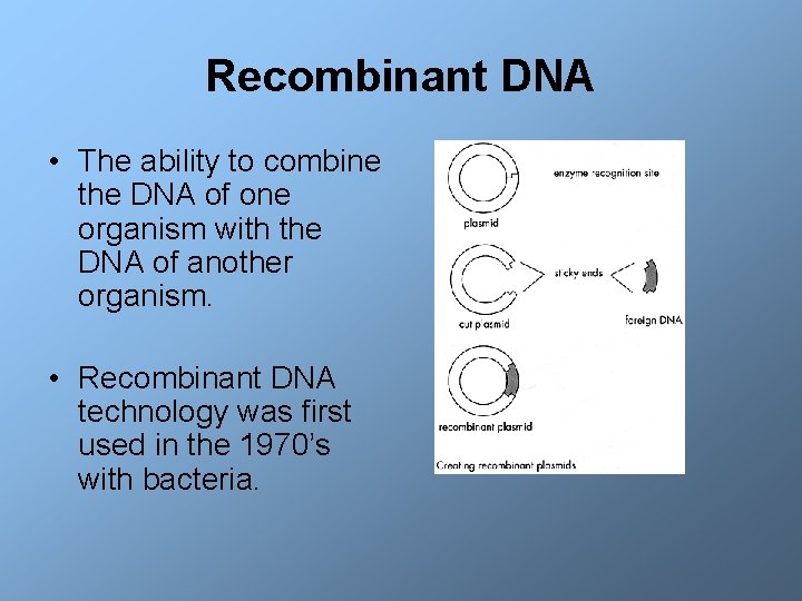 Recombinant DNA • The ability to combine the DNA of one organism with the