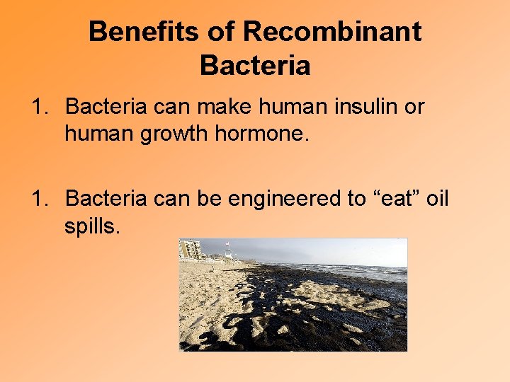 Benefits of Recombinant Bacteria 1. Bacteria can make human insulin or human growth hormone.