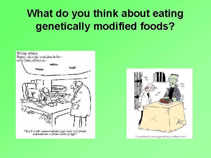 What do you think about eating genetically modified foods? 