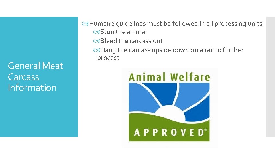 General Meat Carcass Information Humane guidelines must be followed in all processing units Stun