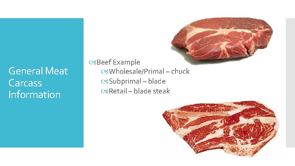 General Meat Carcass Information Beef Example Wholesale/Primal – chuck Subprimal – blade Retail –