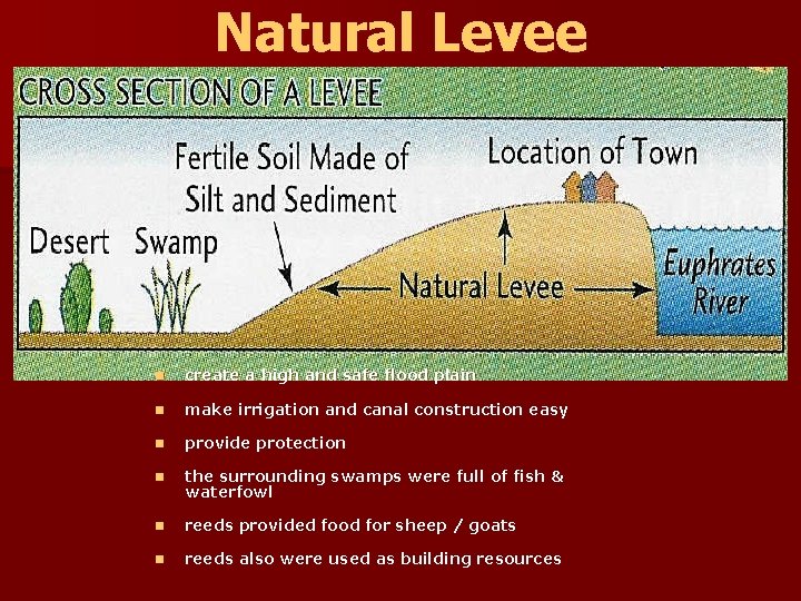 Natural Levee n create a high and safe flood plain n make irrigation and